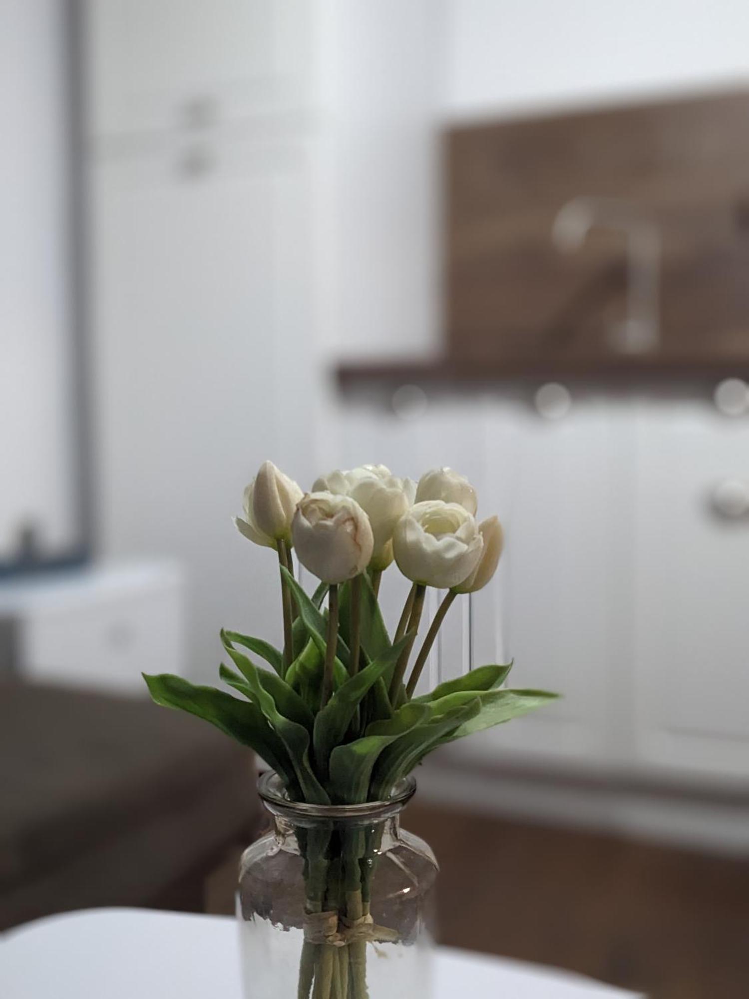 Honey I'M Home Apartments Tırnova Dış mekan fotoğraf